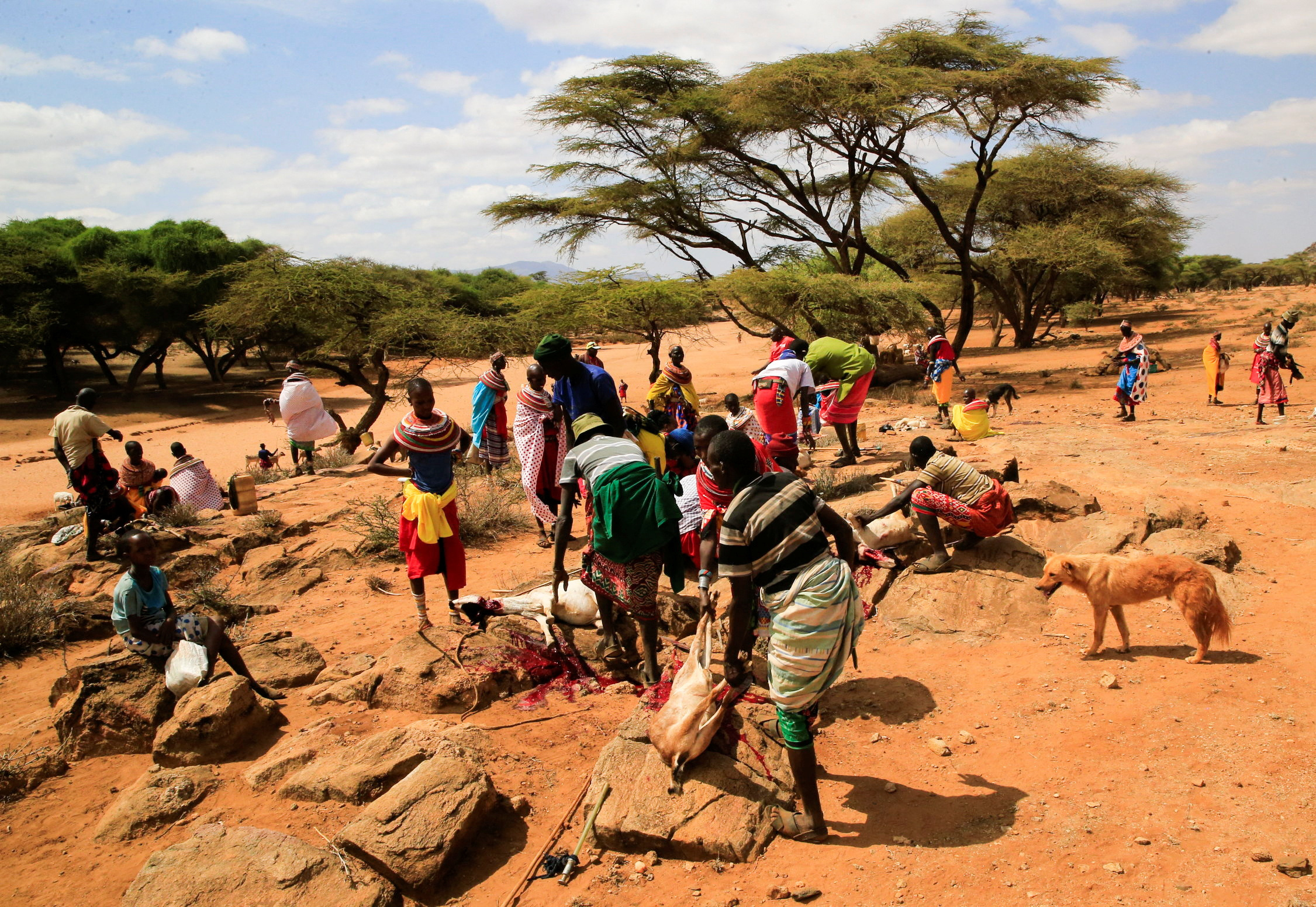 Severe drought ravages North-Eastern Kenya, putting millions at risk. Courtesy