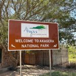 Akagera National Park records over 11,700 visitors in Q1 2026