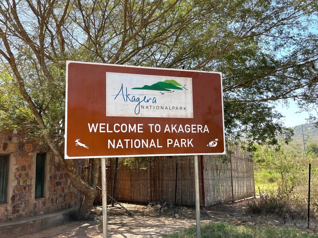 Akagera National Park records over 11,700 visitors in Q1 2026
