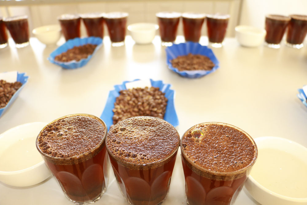 Rwanda’s Specialty Coffee Gains Global Recognition at World of Coffee San Diego