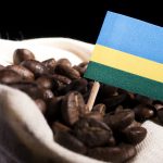 Rwanda’s Specialty Coffee Gains Global Recognition at World of Coffee San Diego