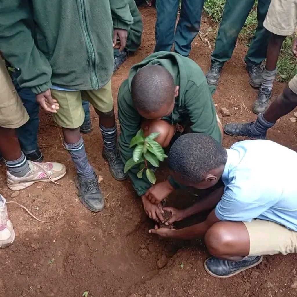 Pupils participating in a tree planting event in Laikipia