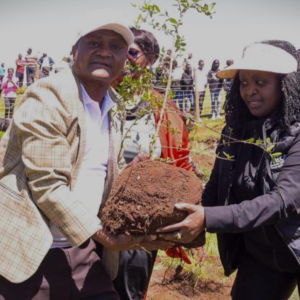 Susan Boit (National Coordinator of the 15 Billion Trees Programme Secretariat) on right during tree seedling event Elgeyo Marakwet 