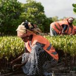 Women at the Heart of Kenya's Multi-Billion-Shilling Restoration Economy