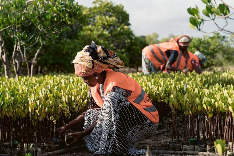 Women at the Heart of Kenya's Multi-Billion-Shilling Restoration Economy
