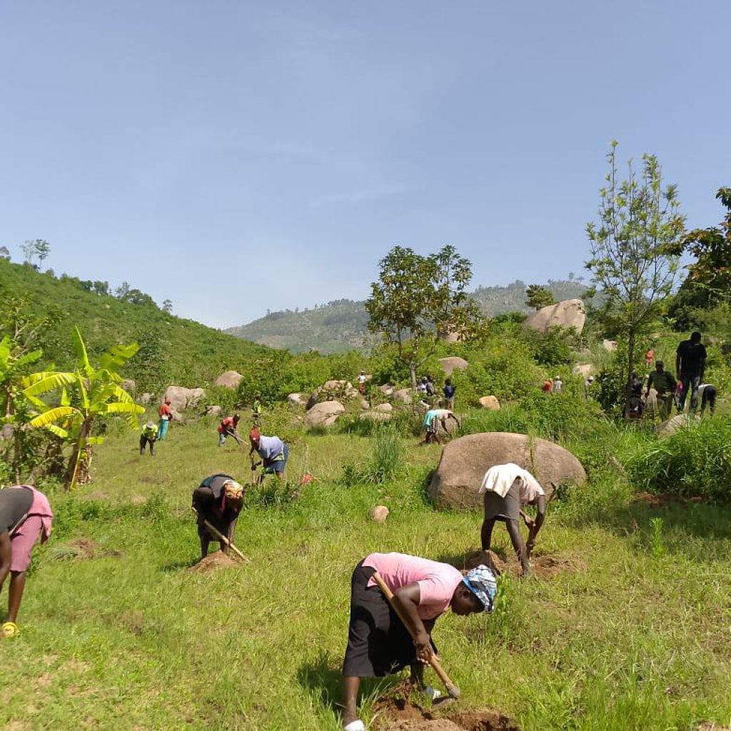 Residents of Vihiga County taking part in tree planting activity at Maragoli Hill Forest