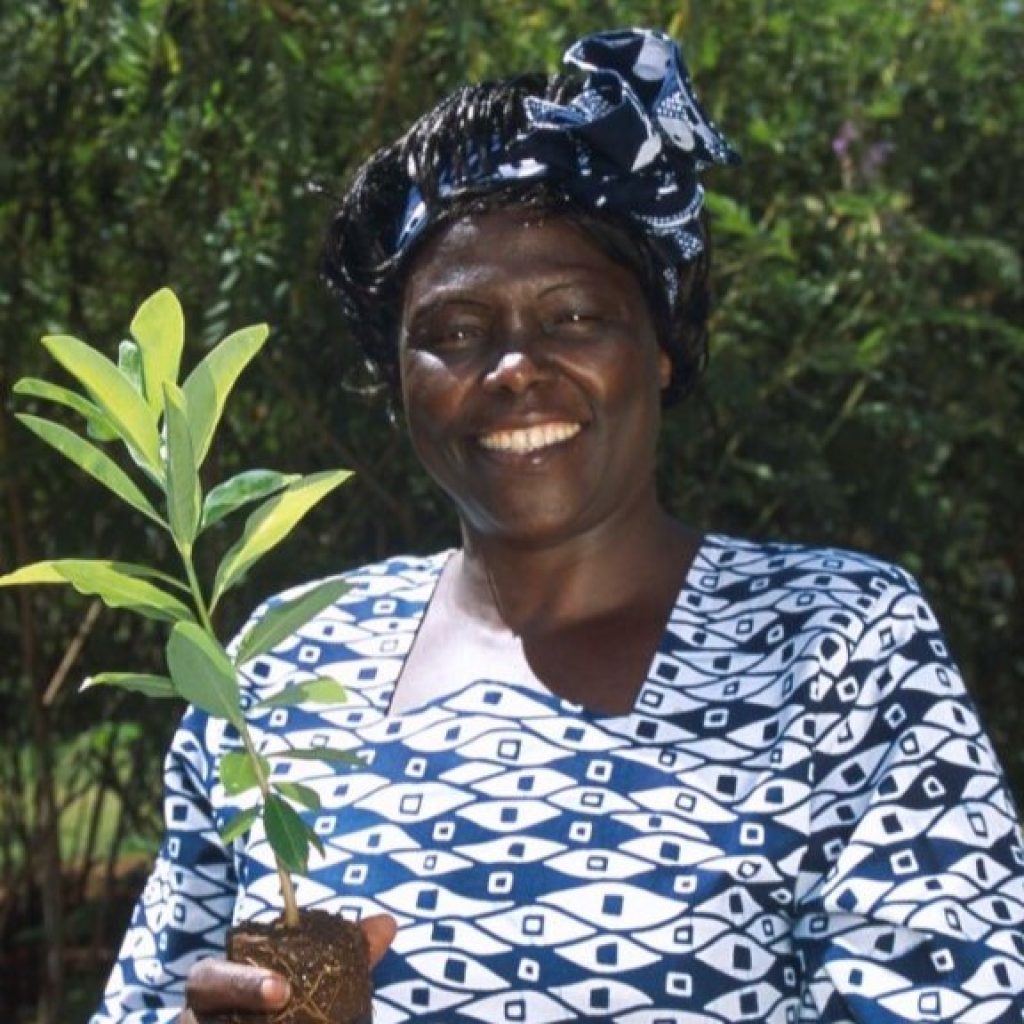 Nobel Peace Prize laureate Wangari Maathai. 